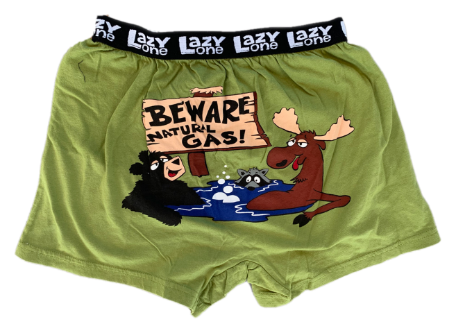 Beware of Natural Gas Alaska Kids' Boxers