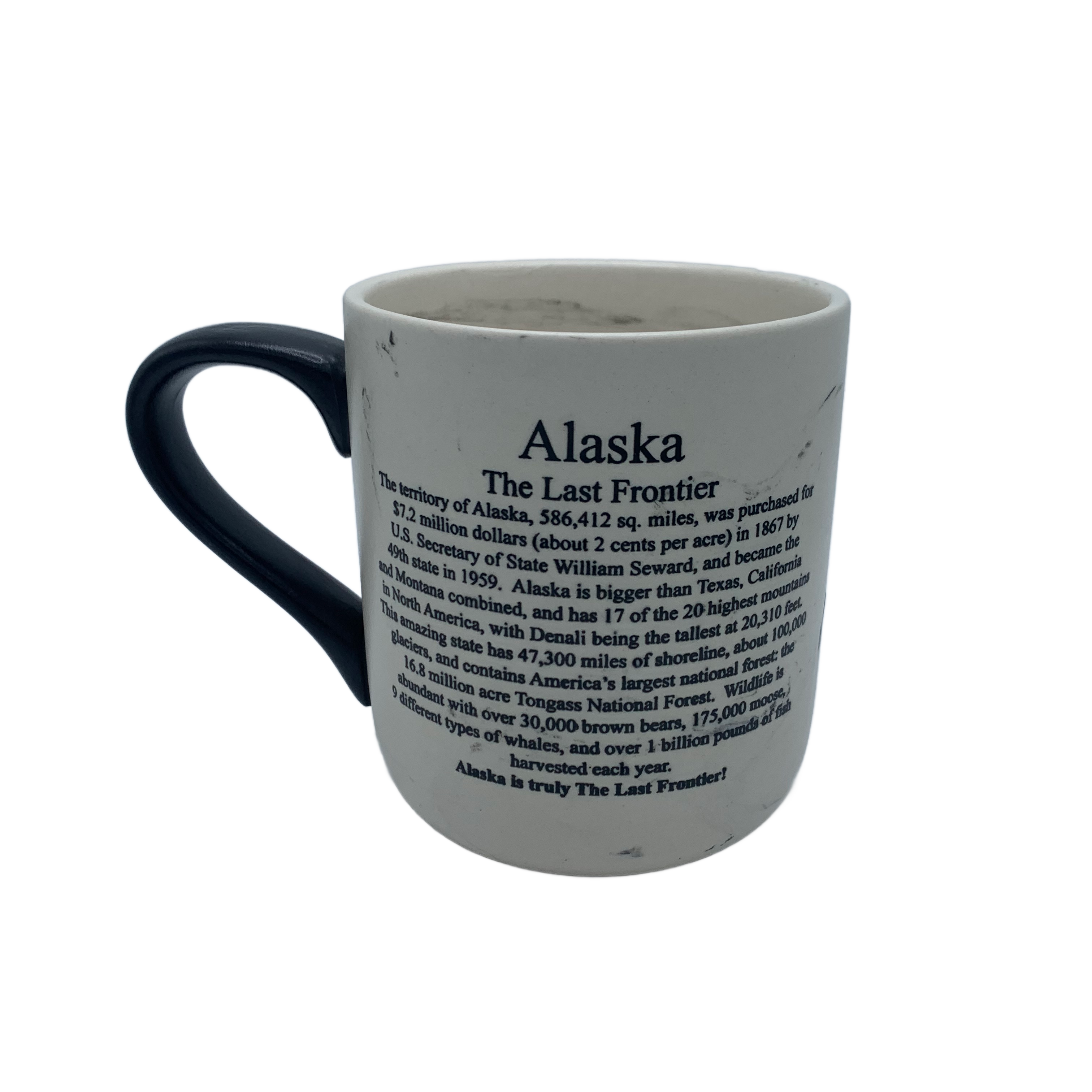 Marble Alaskan Facts Mug