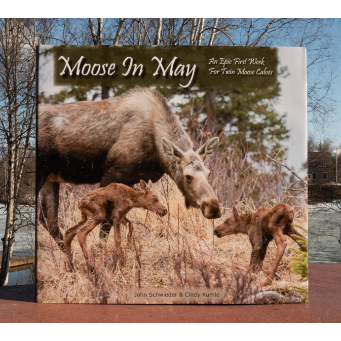 Moose in May