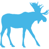 logo of Once in a Blue Moose Alaskan Gifts