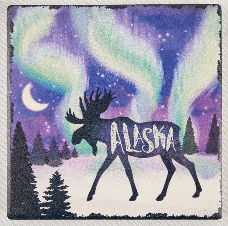 Alaska Moose Northern Lights Coaster