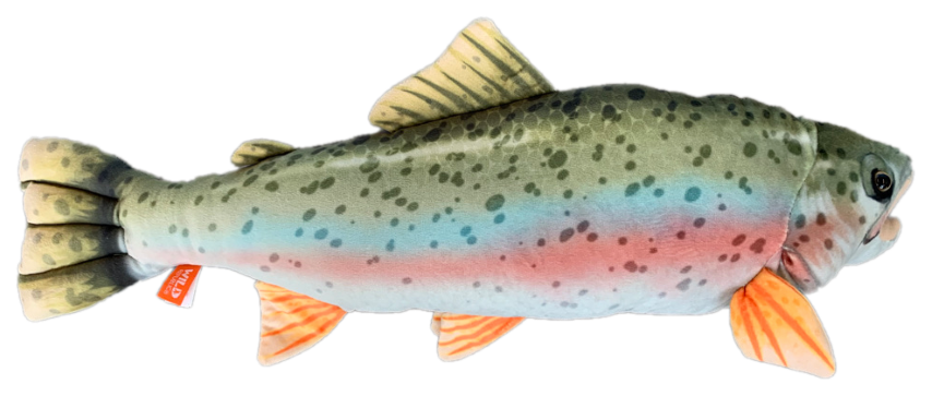 Rainbow Trout Plush 18"