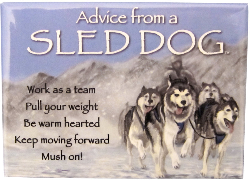 Advice From A Sled Dog Magnet