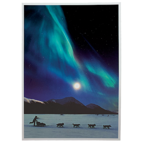 Northern Lights & Musher Card